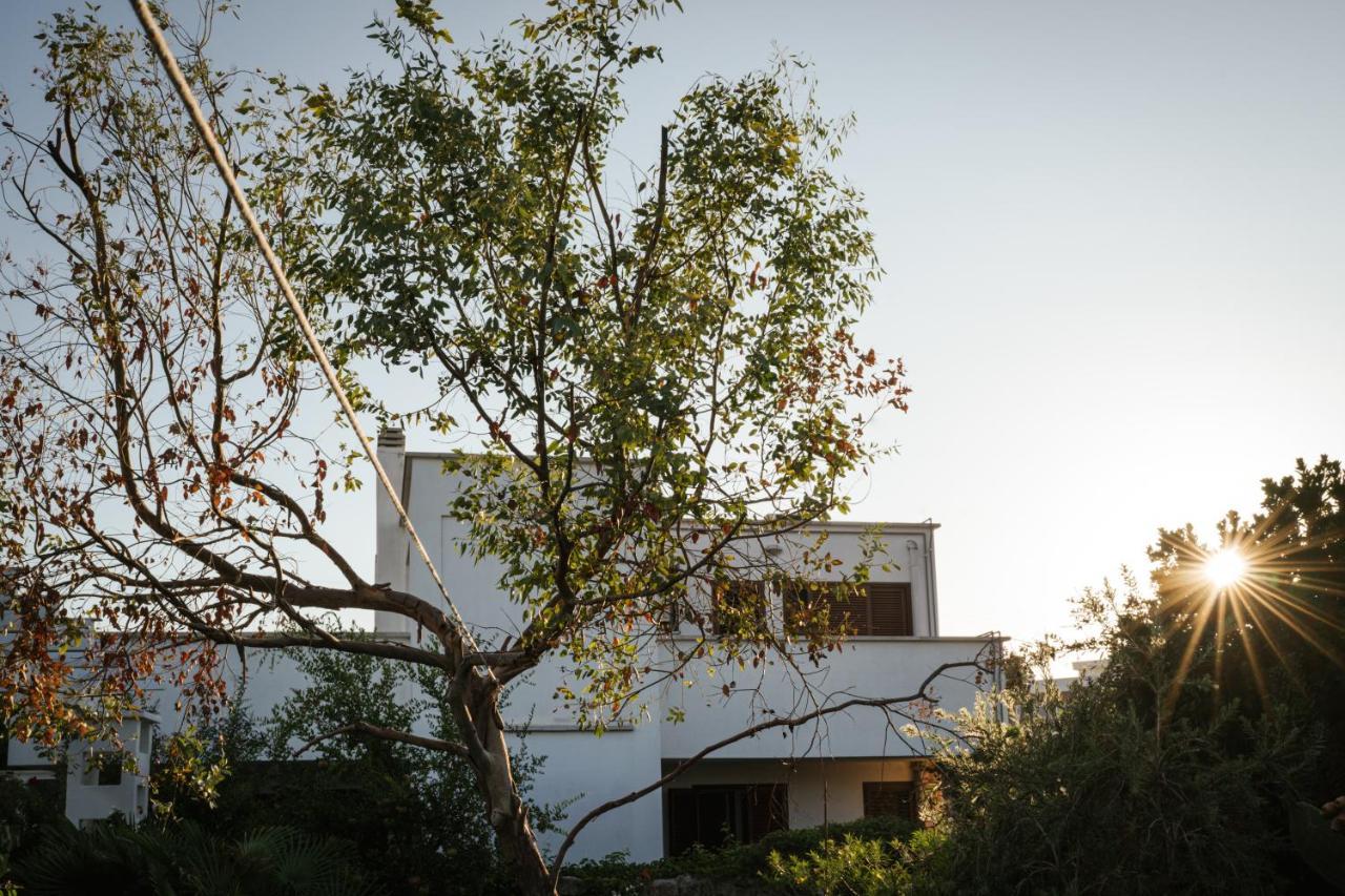 Prestigiosa Villa Con Piscina Condominiale مونوبولي المظهر الخارجي الصورة